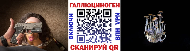 Галлюциногенные грибы Psilocybe  нарко площадка состав  Уяр 